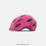 enfants casque scamp mips rose vif/perle 2422481490 Giro - Image 2