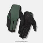 femmes gant de ravage Gris vert 2422481311 Giro