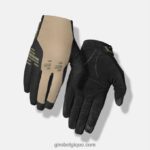 Hommes gant de ravage sentier vert 242248836 Giro