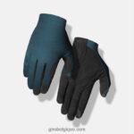 Hommes gant de trail xnetic port bleu 242248874 Giro