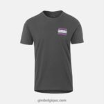 Hommes t-shirt technique - manches courtes gris grinduro 2422481040 Giro