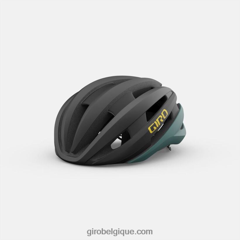 unisexe_casque_synthe_mips_ii_noir_chaud_mat_242248484_giro.jpg unisexe casque synthé mips ii noir chaud mat 242248484 Giro - Image 1